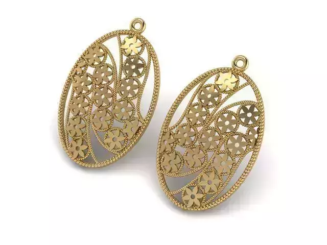 Earrings T01116