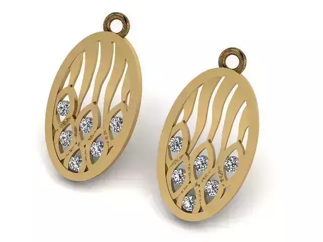 Earrings T01117