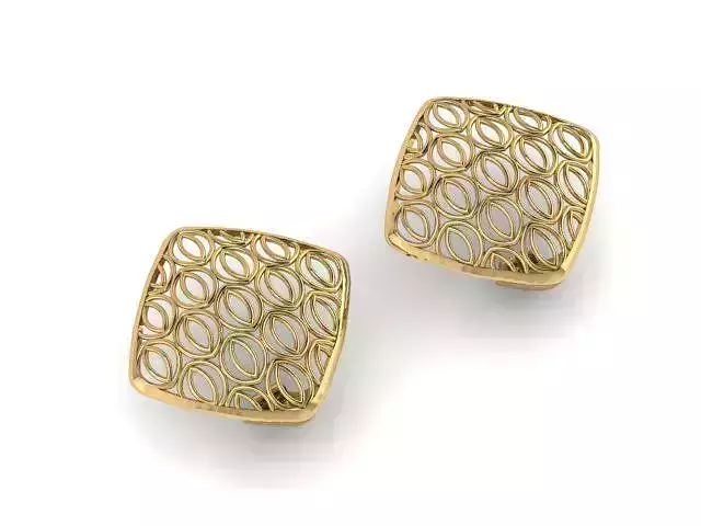 Earrings T01118