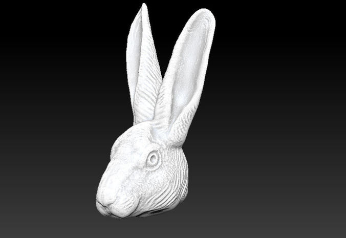 Rabbit head 3D print model