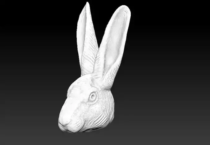 Rabbit head 3D print model