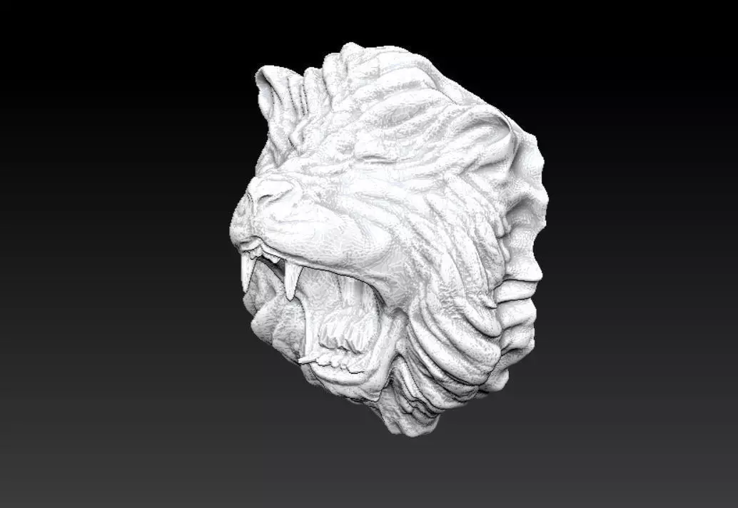 Lion head 3 3D model_0