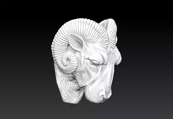 Goat ram head