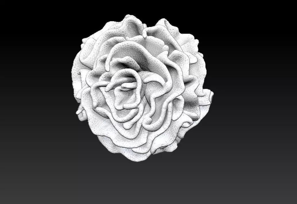 Flower rose 3D model_2
