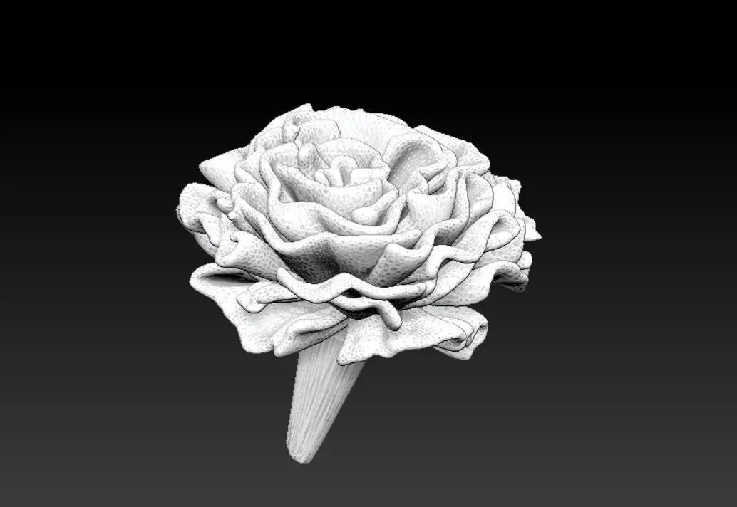 Flower rose 3D model_0