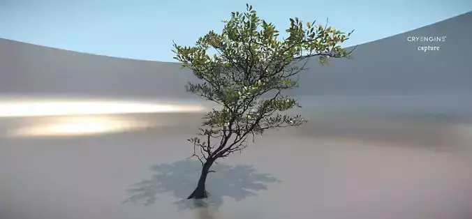Tree micro with leaves