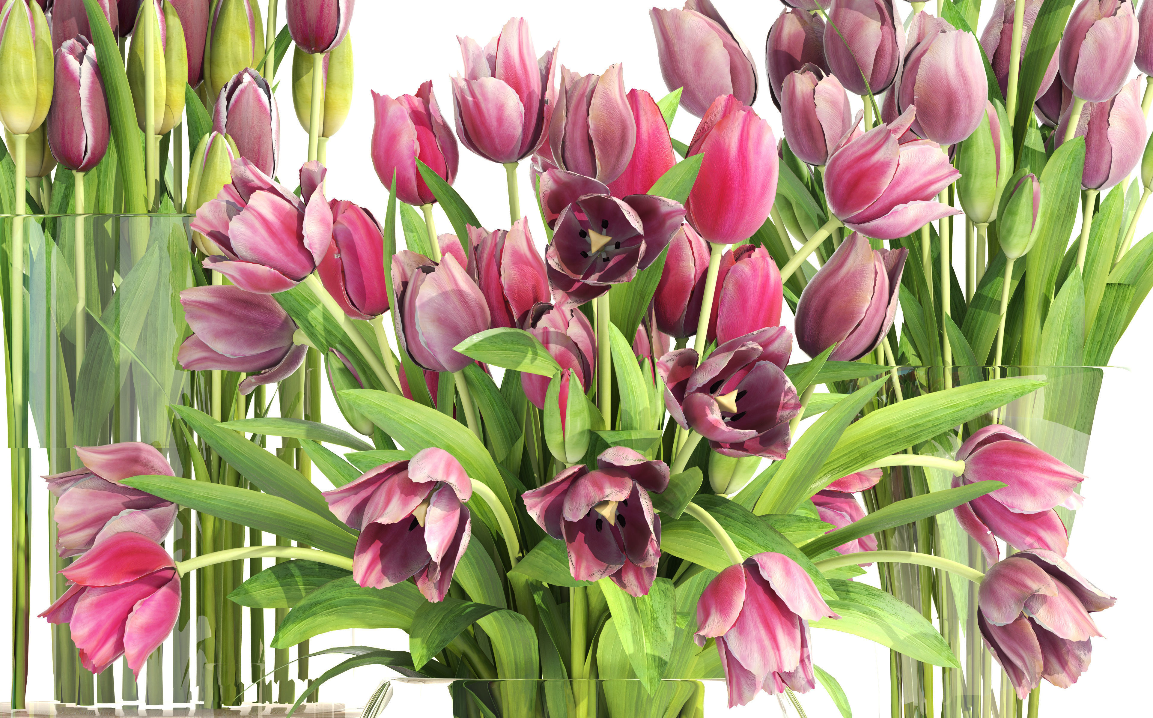 Bouquet of tulips 3 pieces 3D model_1