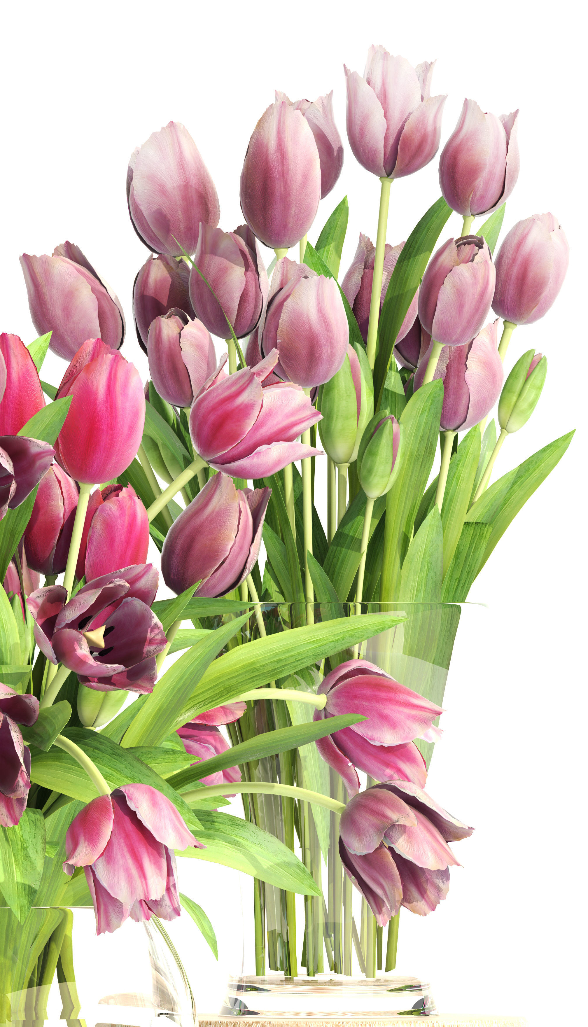 Bouquet of tulips 3 pieces 3D model_2