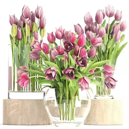 Bouquet of tulips 3 pieces 3D model