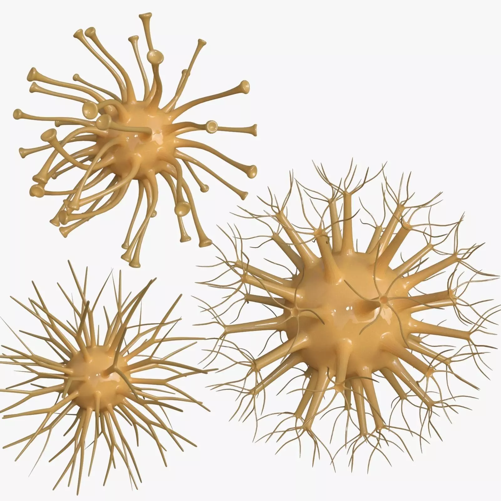 Viruses virus 3D model