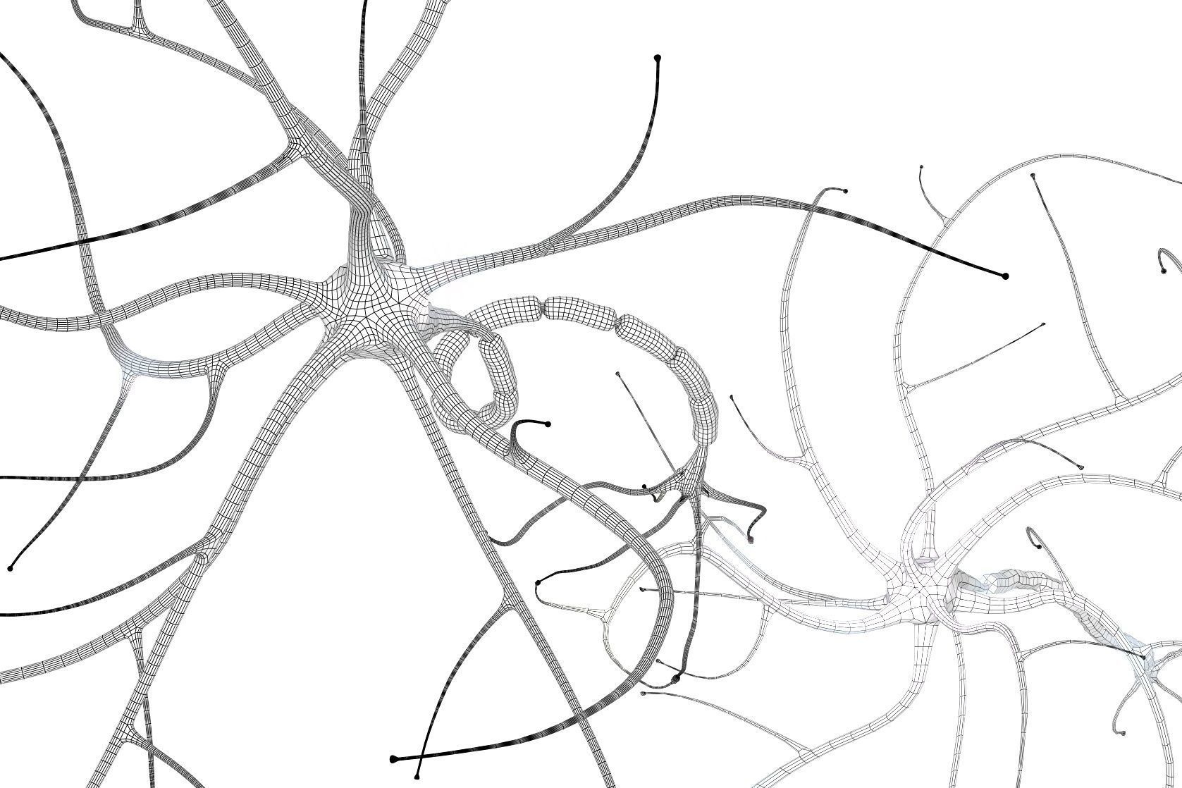 Nerve cell anatomy in details 3D model_9