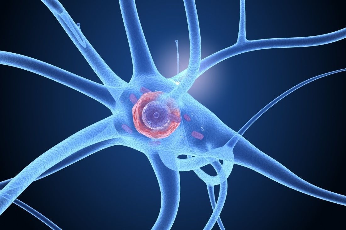 Nerve cell anatomy in details 3D model_6