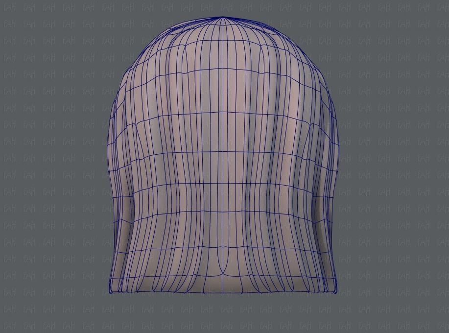 3D Hair style for girl V05 Low-poly 3D model_14