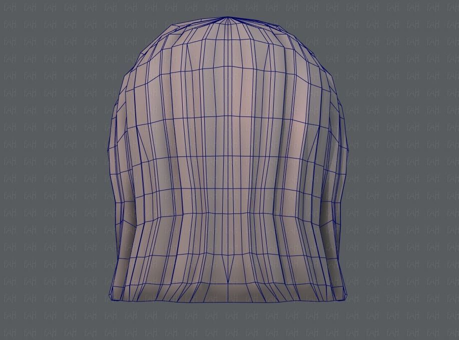 3D Hair style for girl V05 Low-poly 3D model_30