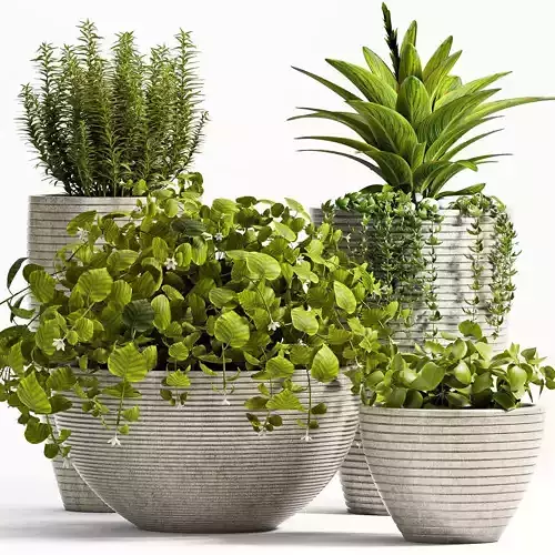 Decorative plant set-51