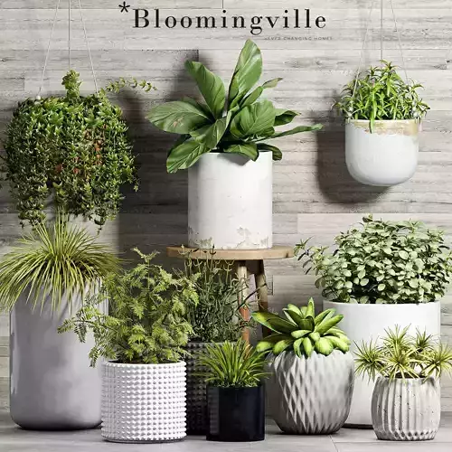 Decorative plant set-52