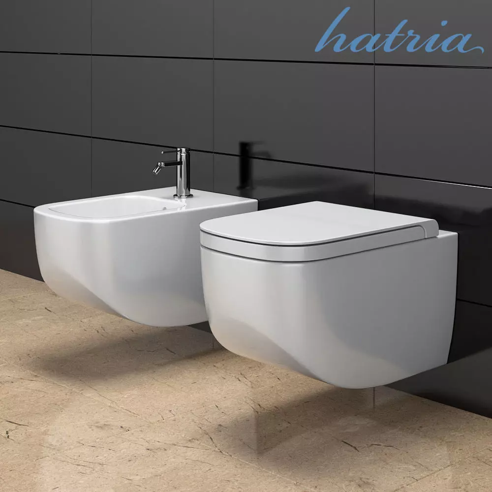 Toilet bowl and bidet HATRIA Next 3D model_0