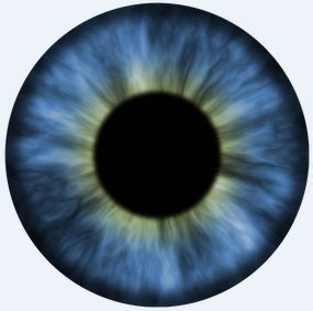 Character Head with Hair Free 3D model_3