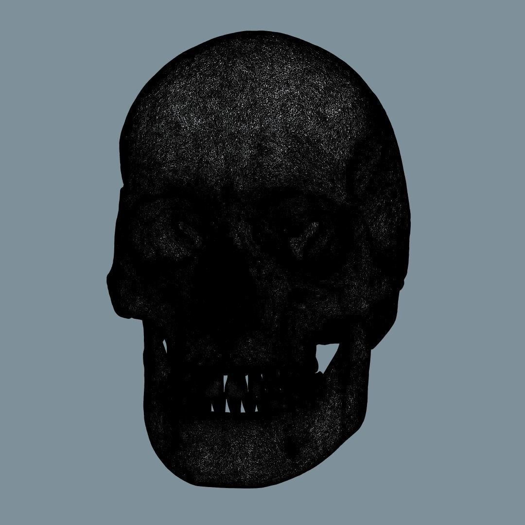Photorealistic human skull 3D model_17