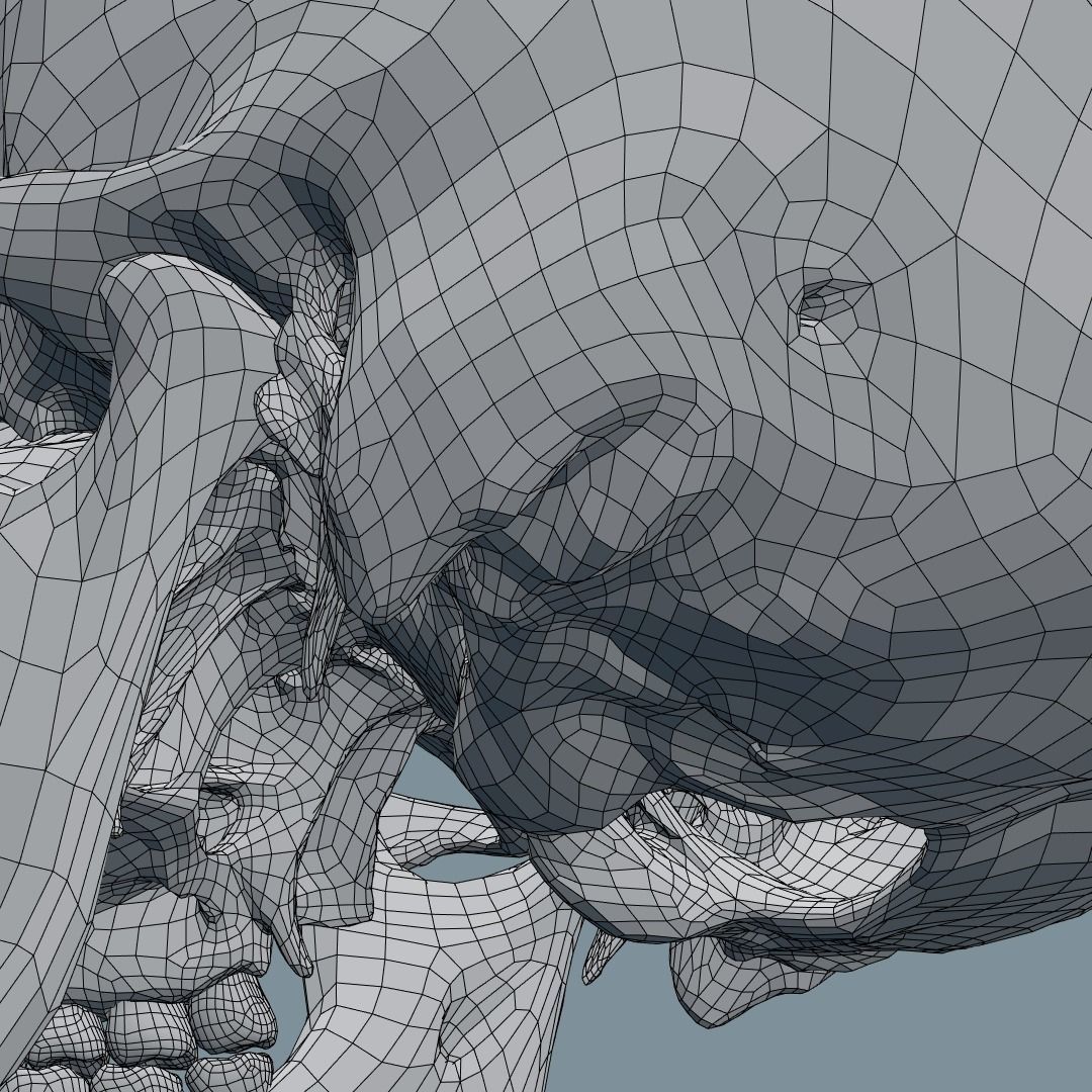 Photorealistic human skull 3D model_18