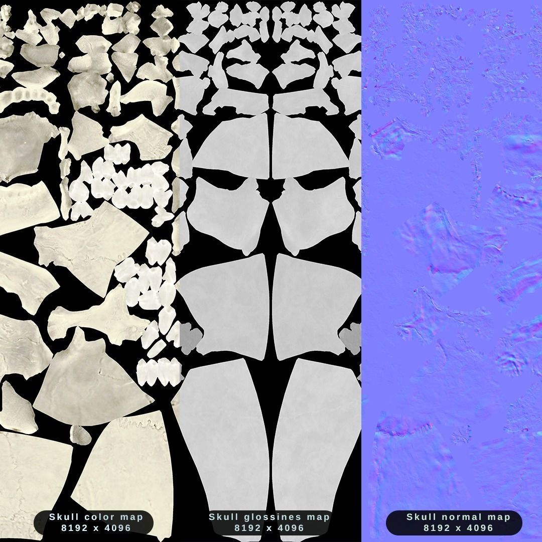 Photorealistic human skull 3D model_22