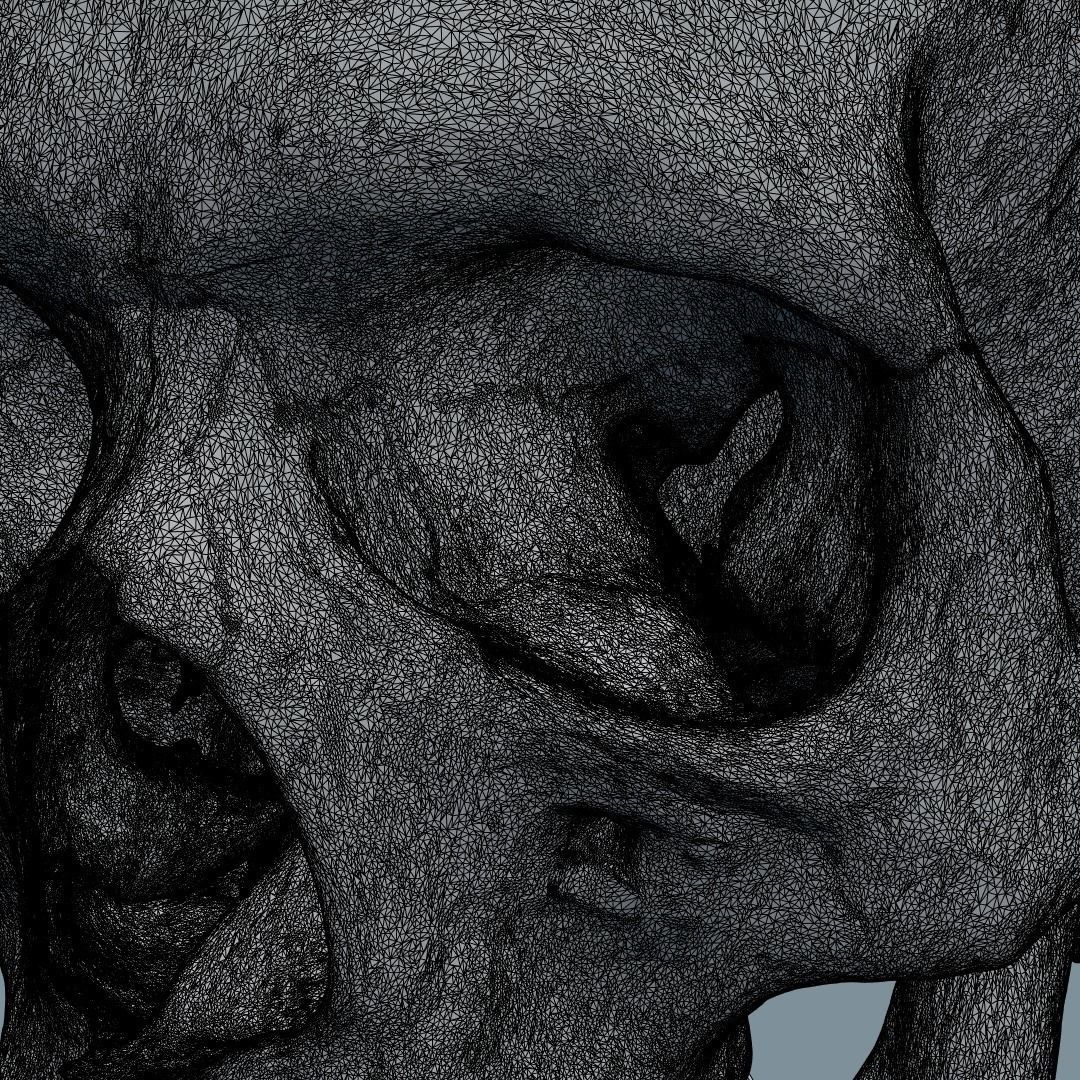 Photorealistic human skull 3D model_21