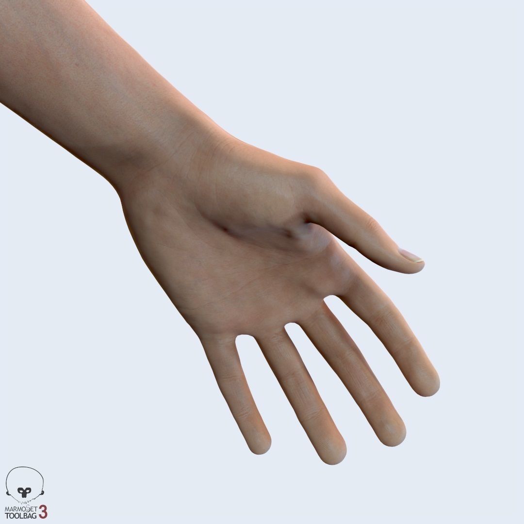 Average Female Body Low-poly 3D model_21