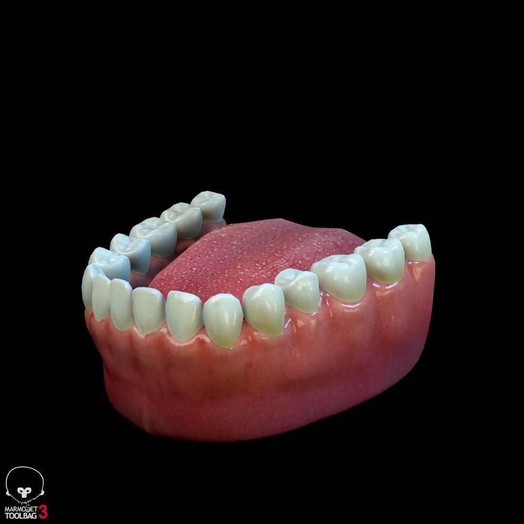 Average Female Body Low-poly 3D model_36