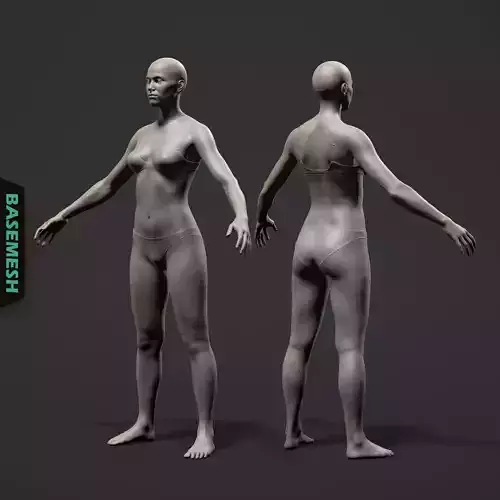 Average Female Body Basemesh
