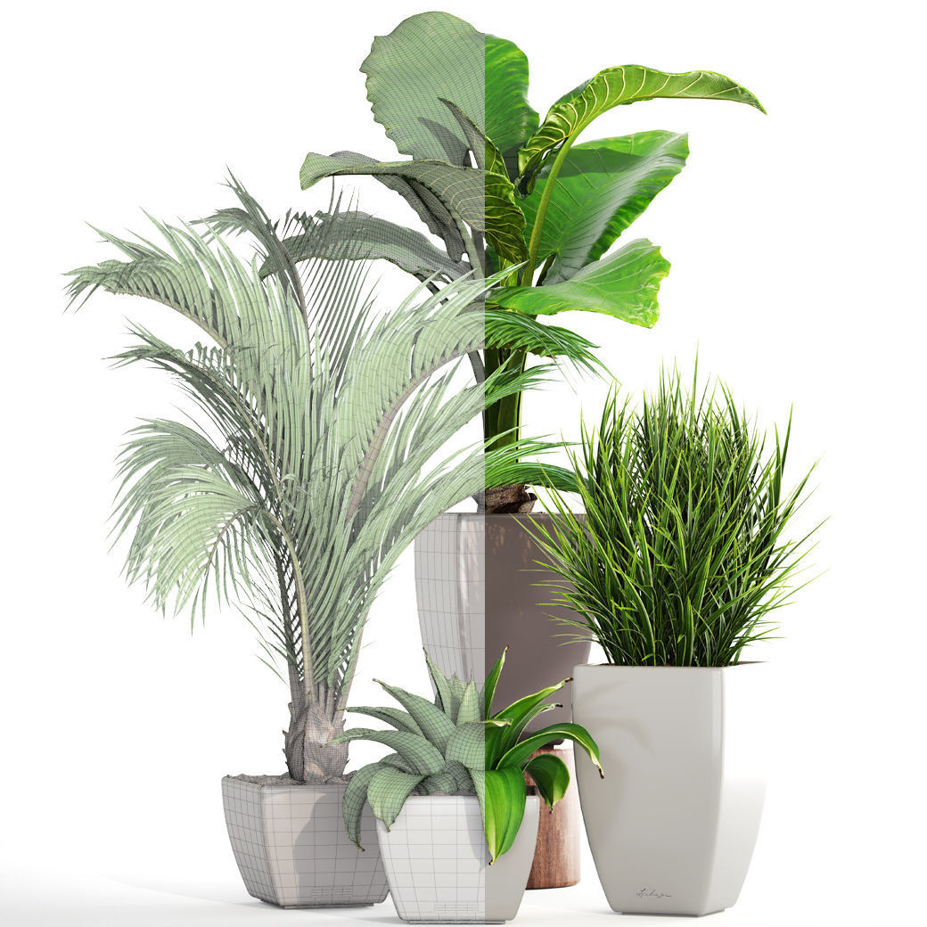 Collection plants four potted 3D model_6