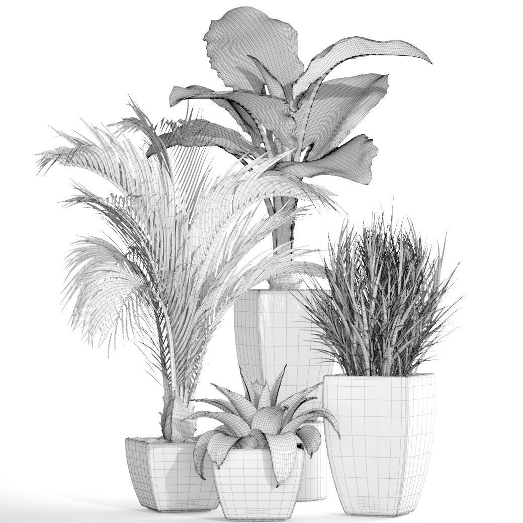 Collection plants four potted 3D model_5