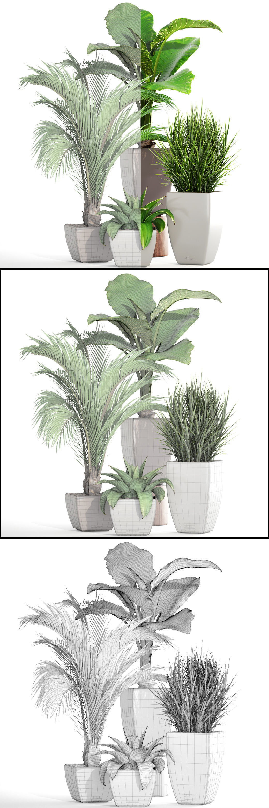 Collection plants four potted 3D model_3