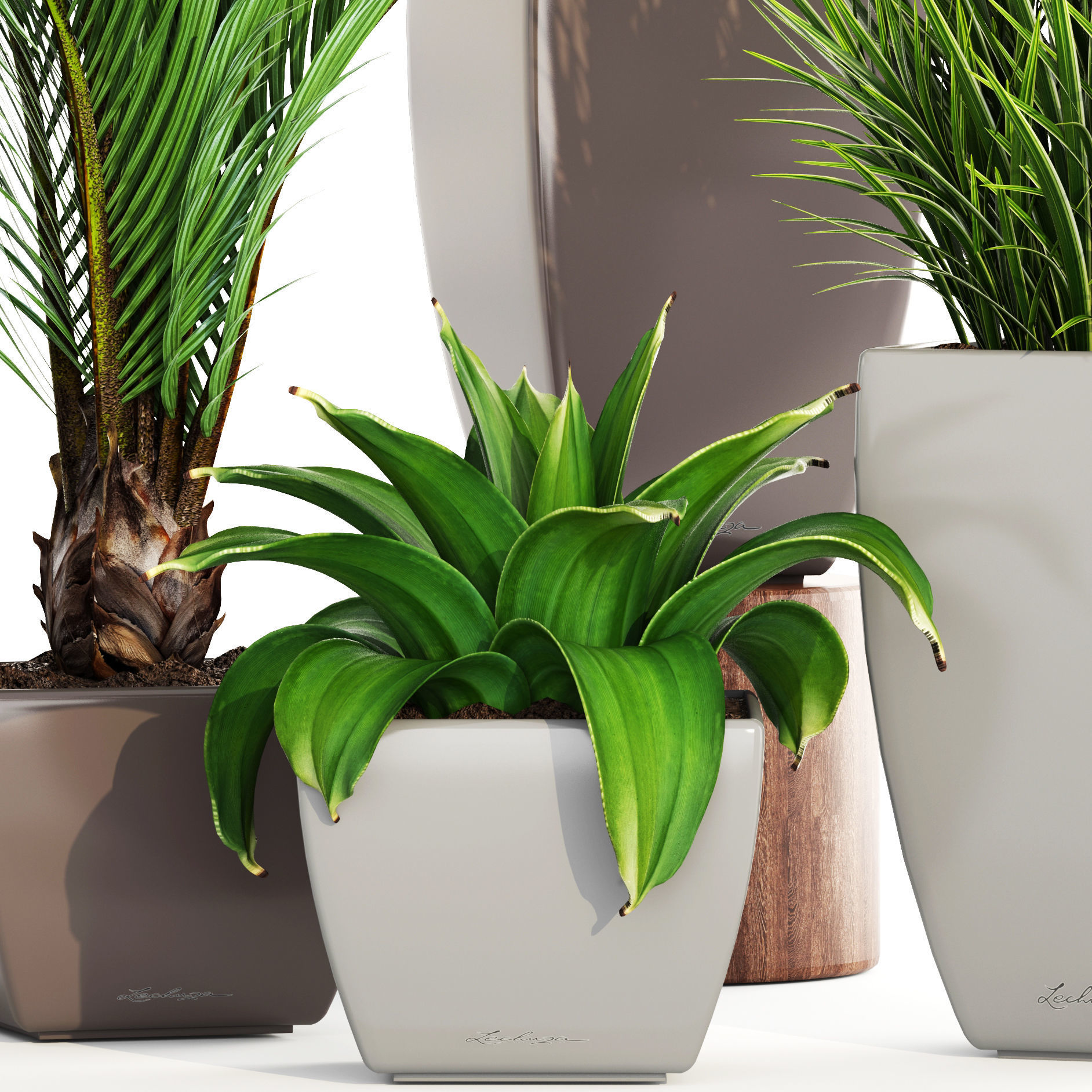 Collection plants four potted 3D model_1