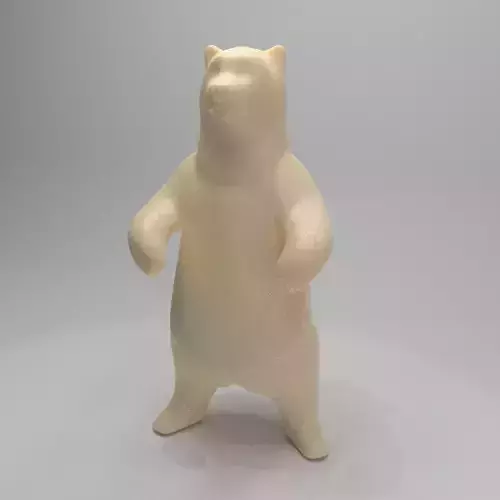 Bear standing