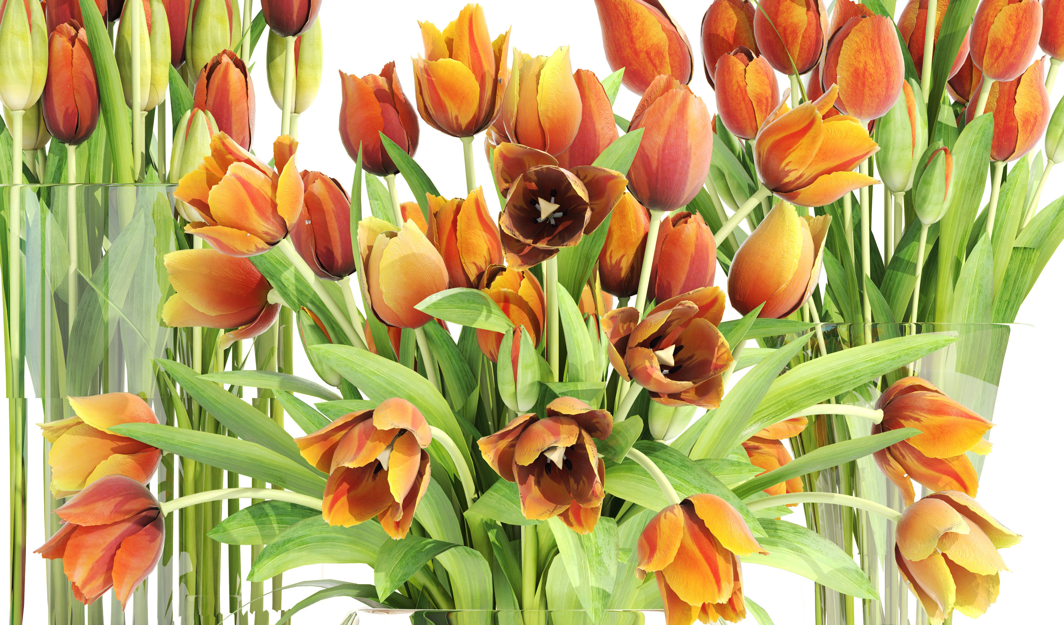 Bouquet of tulips set 3D model_1