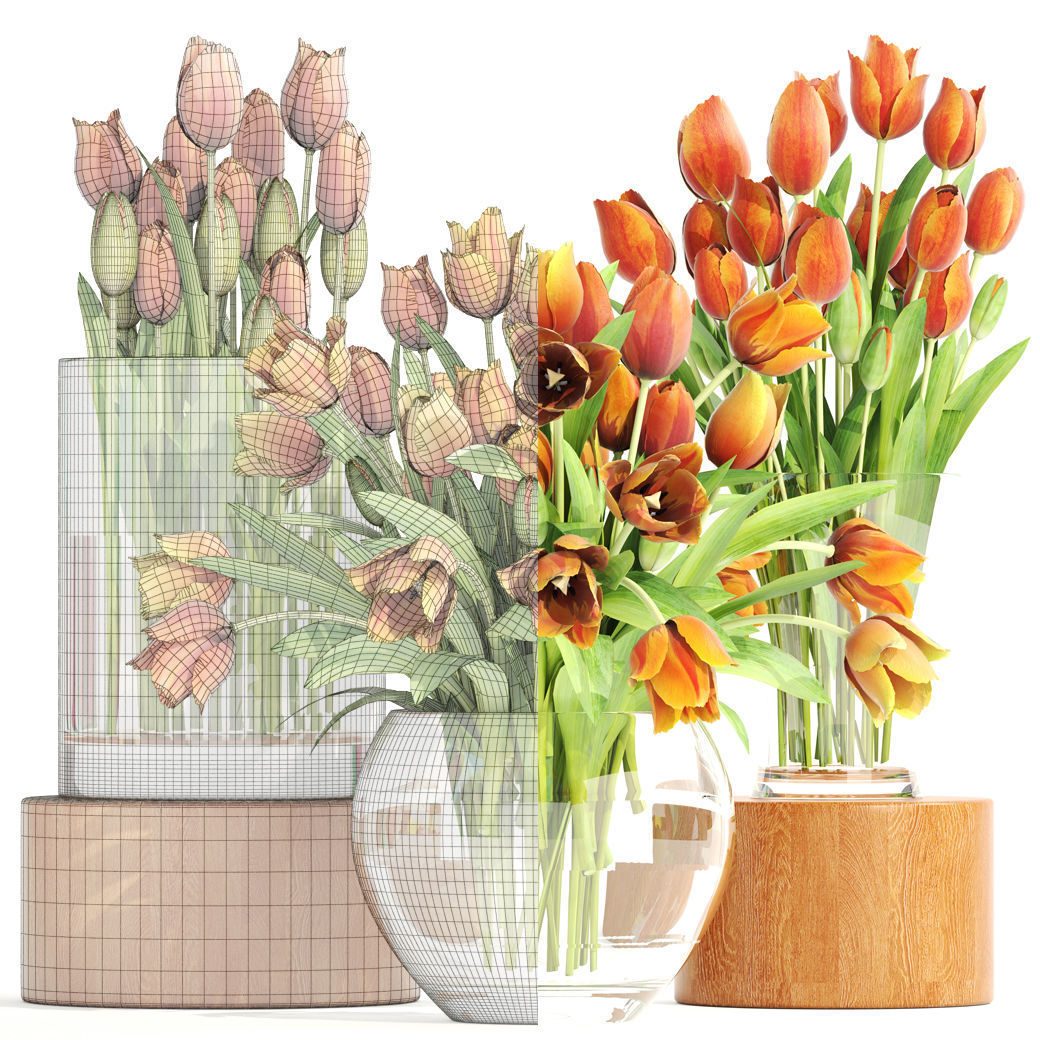 Bouquet of tulips set 3D model_4