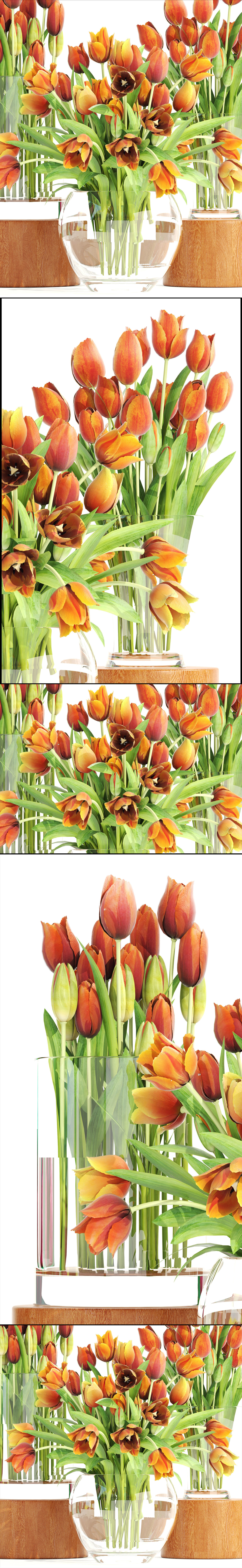 Bouquet of tulips set 3D model_10