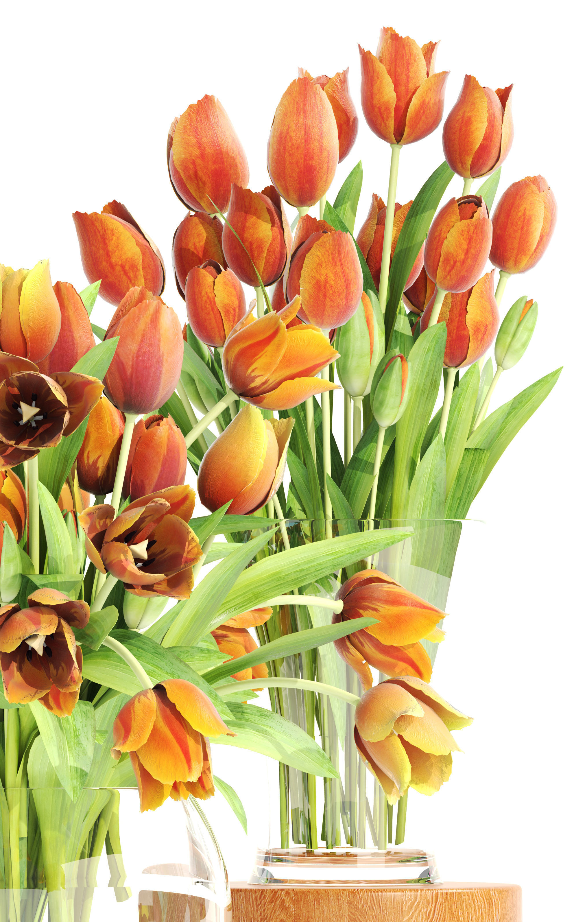 Bouquet of tulips set 3D model_2