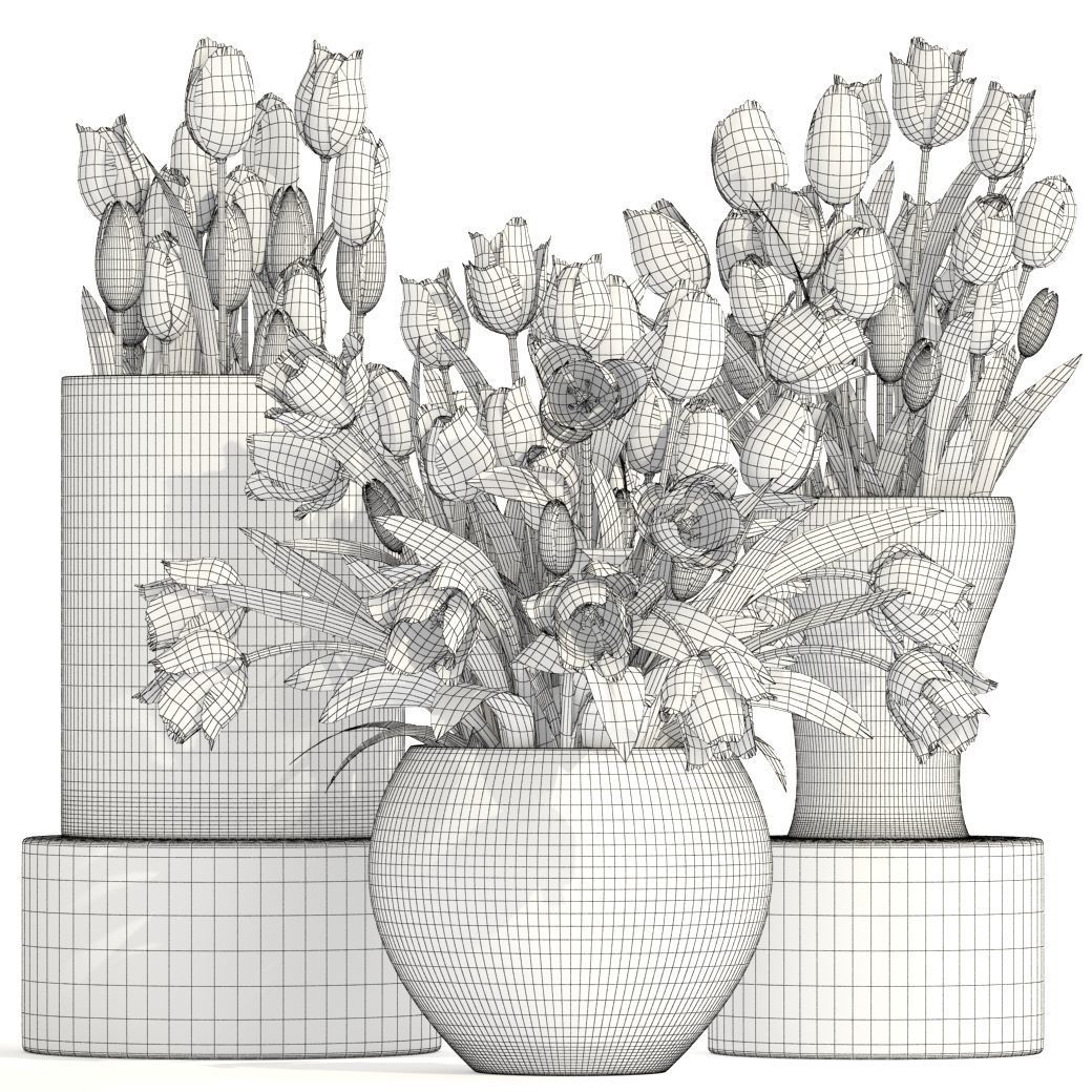 Bouquet of tulips set 3D model_5