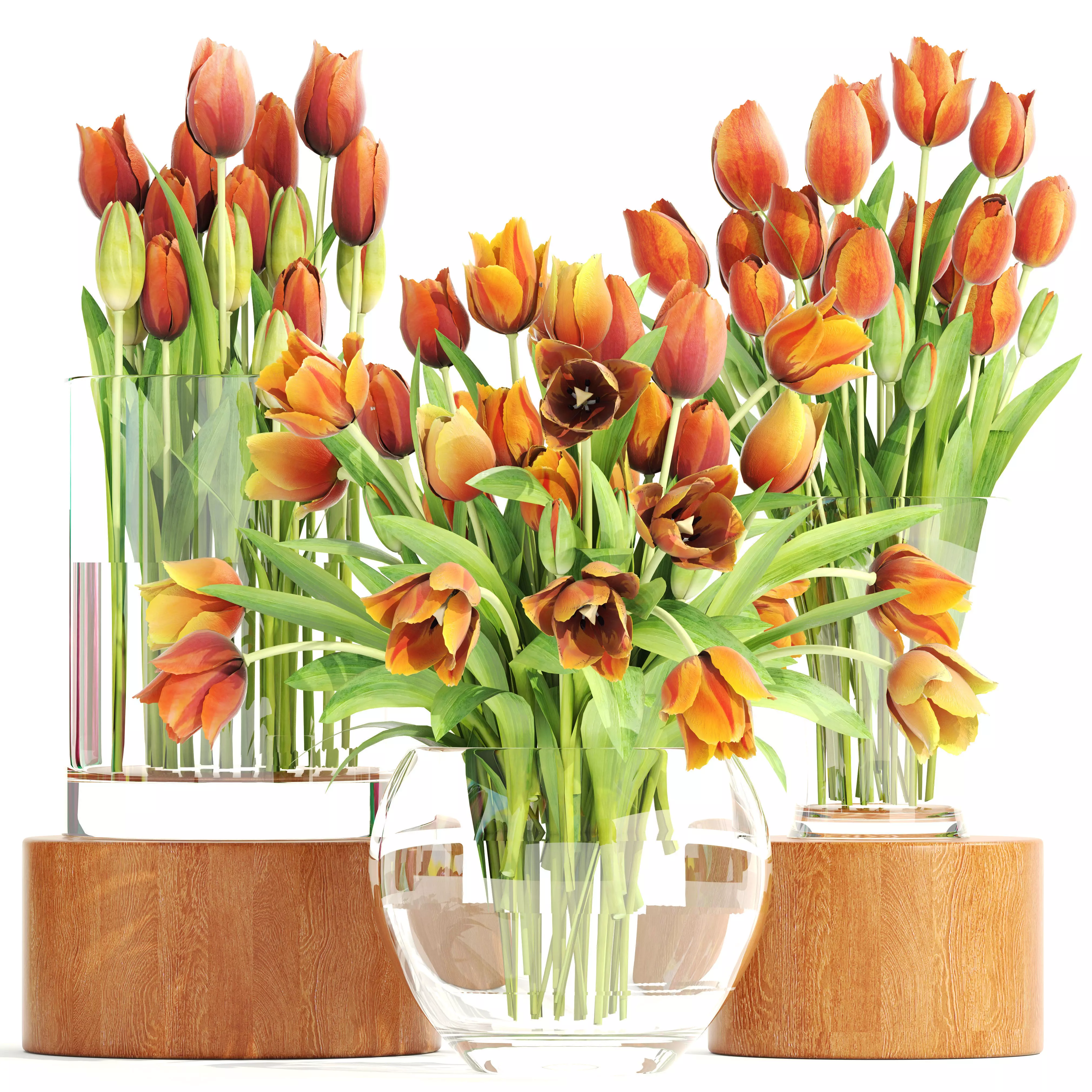 Bouquet of tulips set 3D model_0