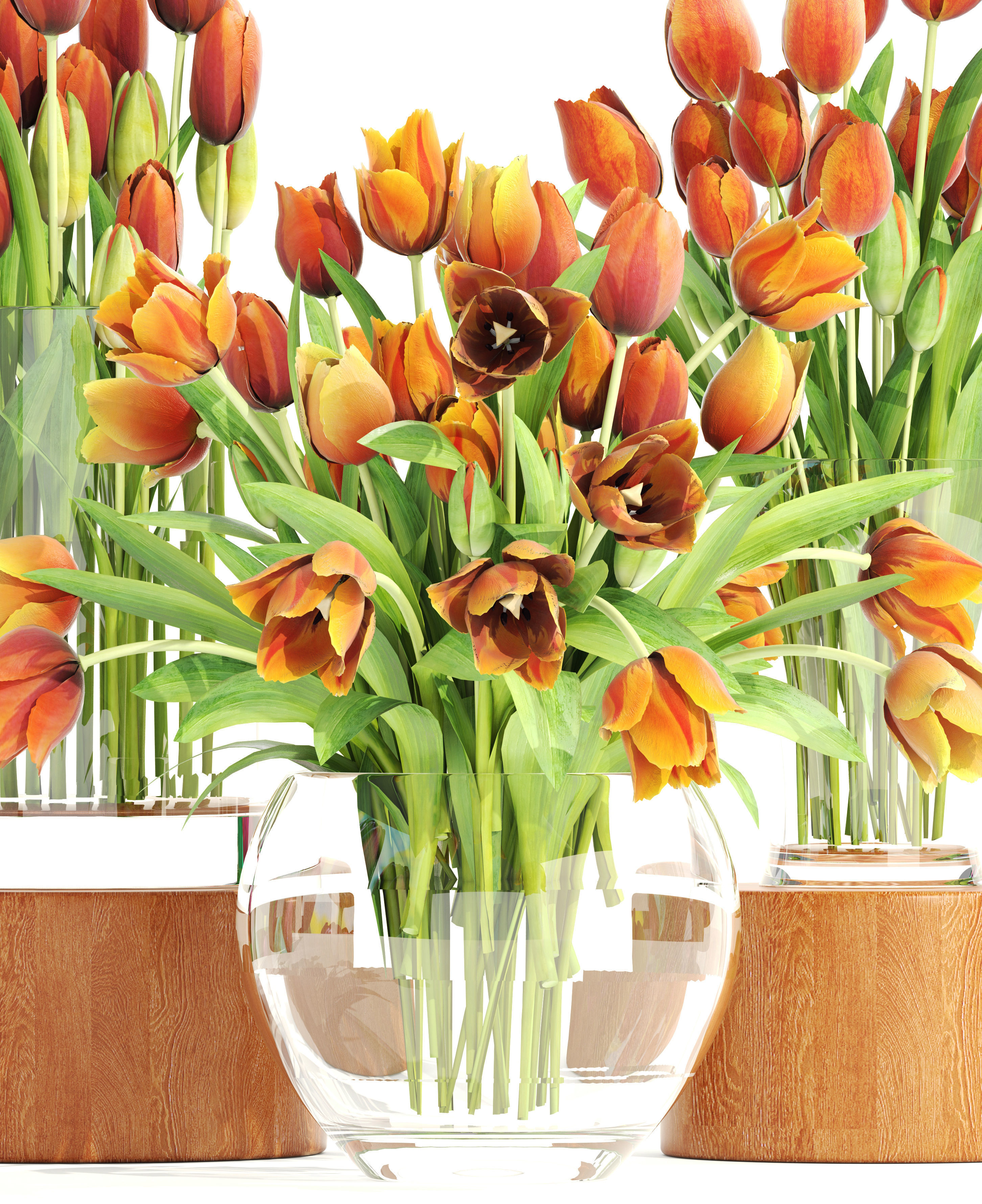 Bouquet of tulips set 3D model_8