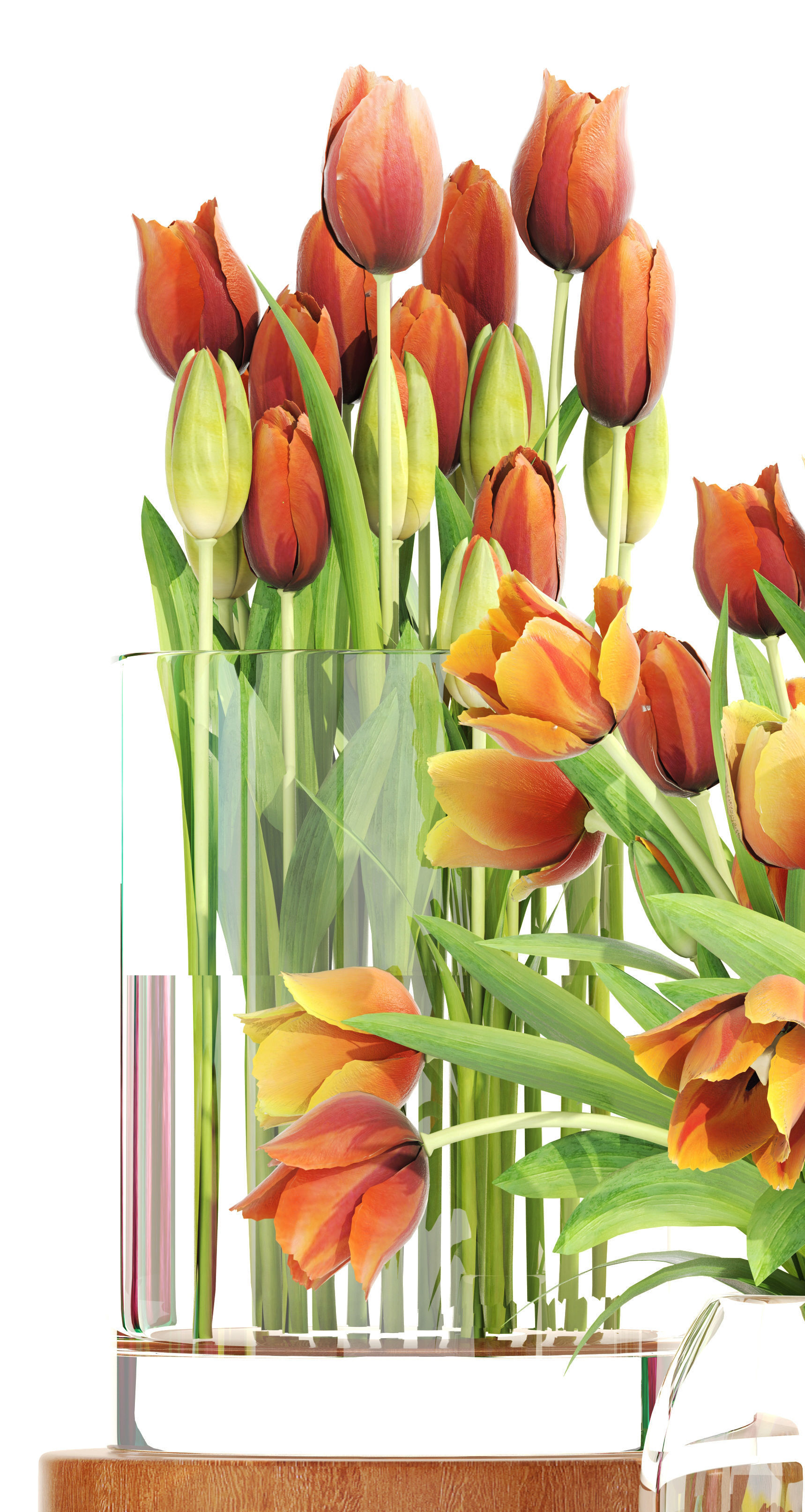 Bouquet of tulips set 3D model_3
