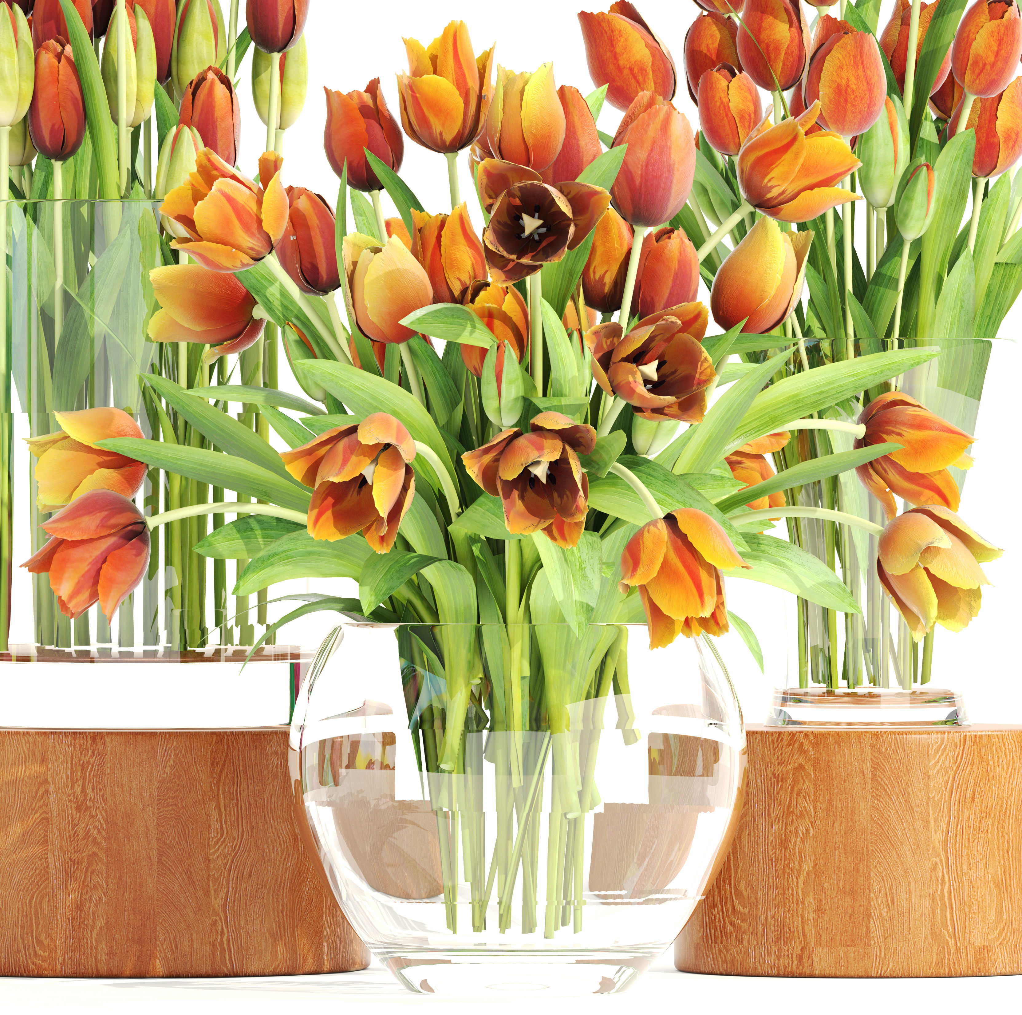 Bouquet of tulips set 3D model_9