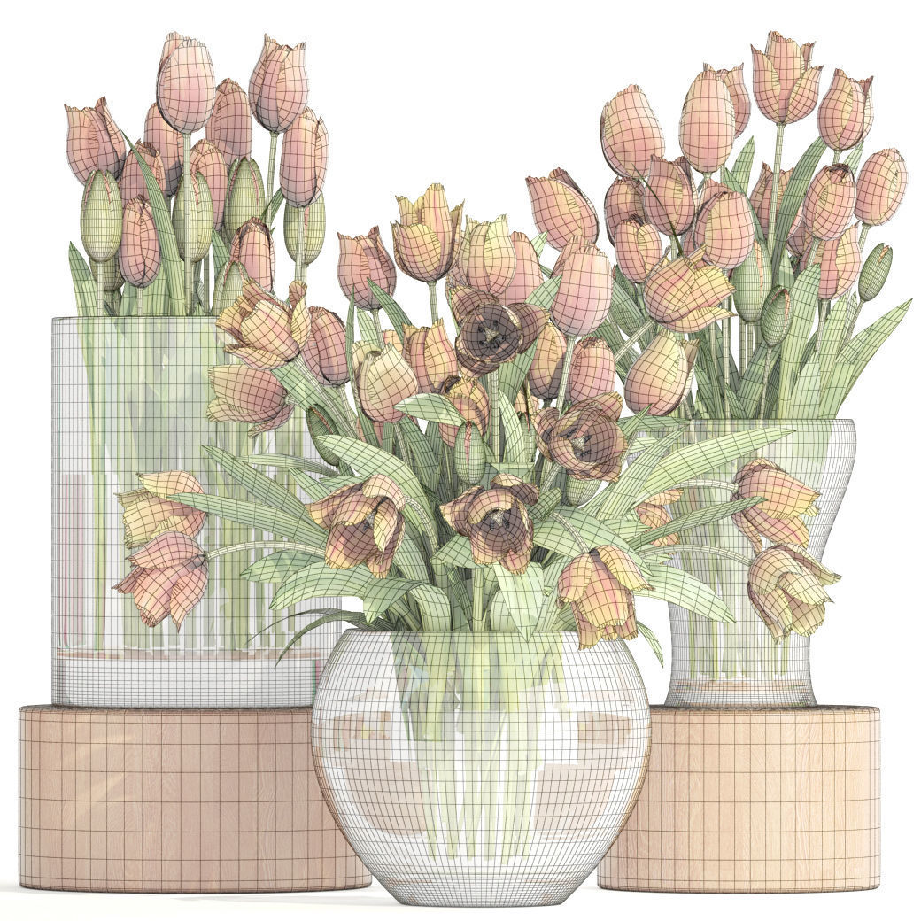 Bouquet of tulips set 3D model_6