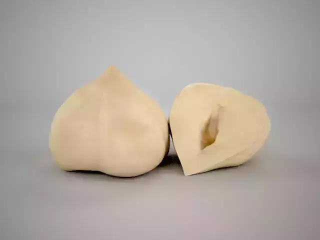 Realistic Hazelnut two mung bean pods Low-poly 3D model