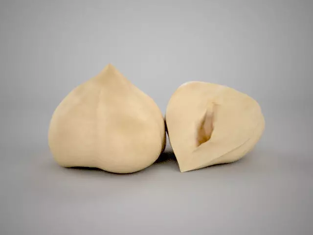 Realistic Hazelnut two mung bean pods Low-poly 3D model_0