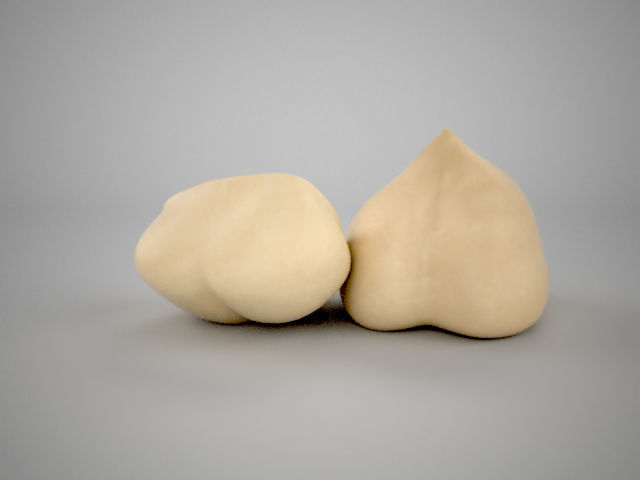 Realistic Hazelnut two mung bean pods Low-poly 3D model_1