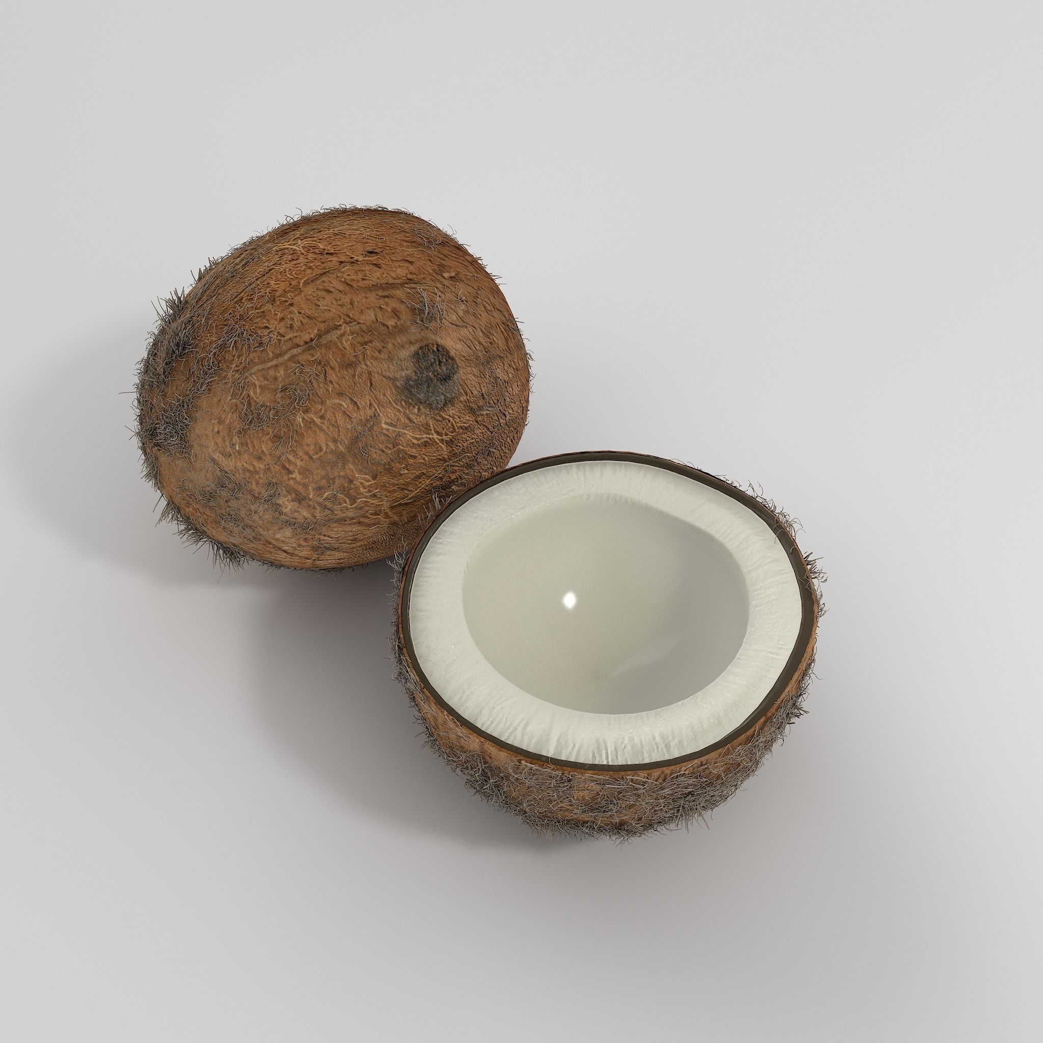 Realistic Coconut - Low-poly 3D model_1