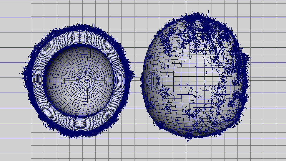 Realistic Coconut - Low-poly 3D model_5