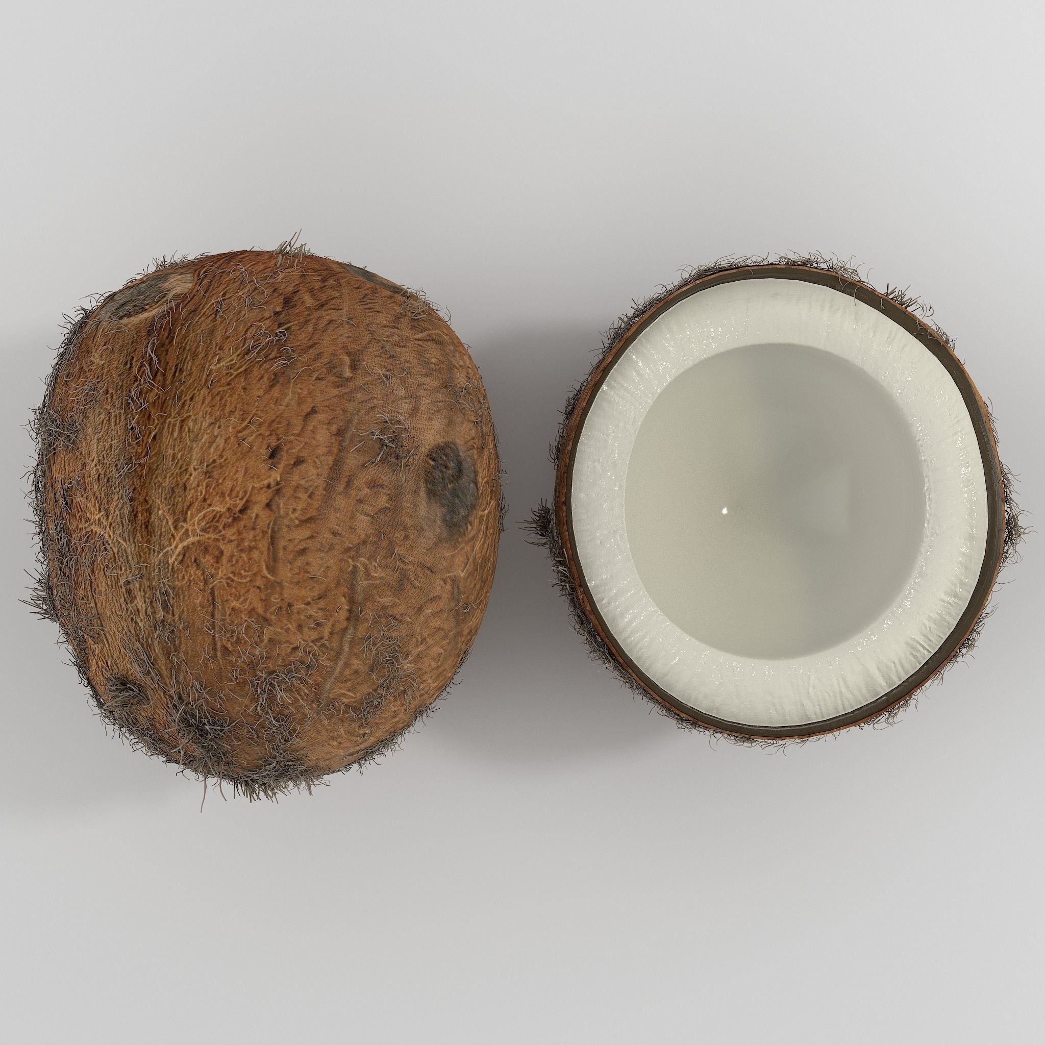 Realistic Coconut - Low-poly 3D model_2